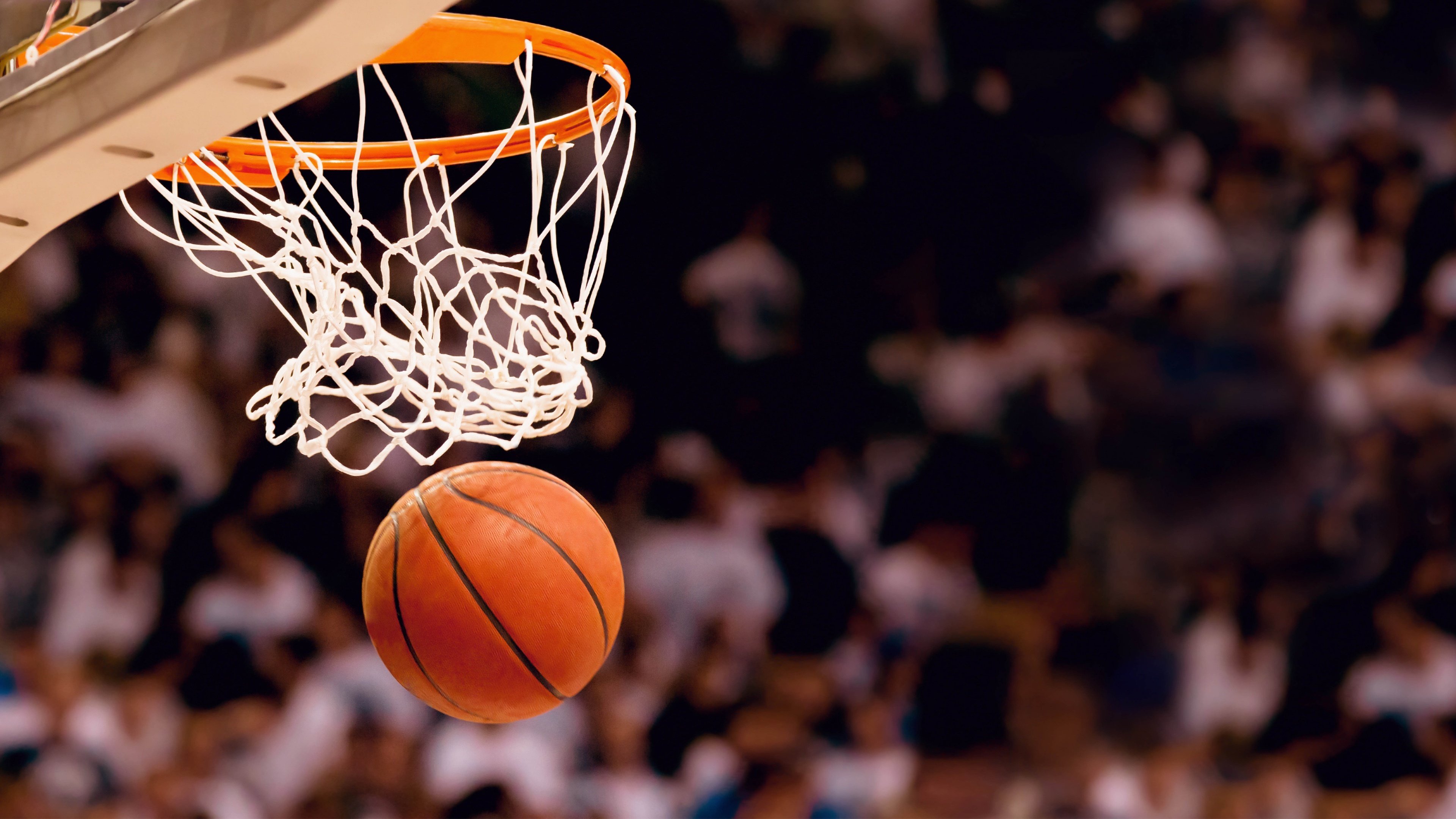 AYXSPORTSAPP-河南大象再负广东狮城队，陷入连败，河南大象什么时候绝迹的