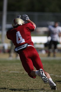 AYX官网-法甲球队防守战术调整后定位球防守成功率提升分析，法国防守