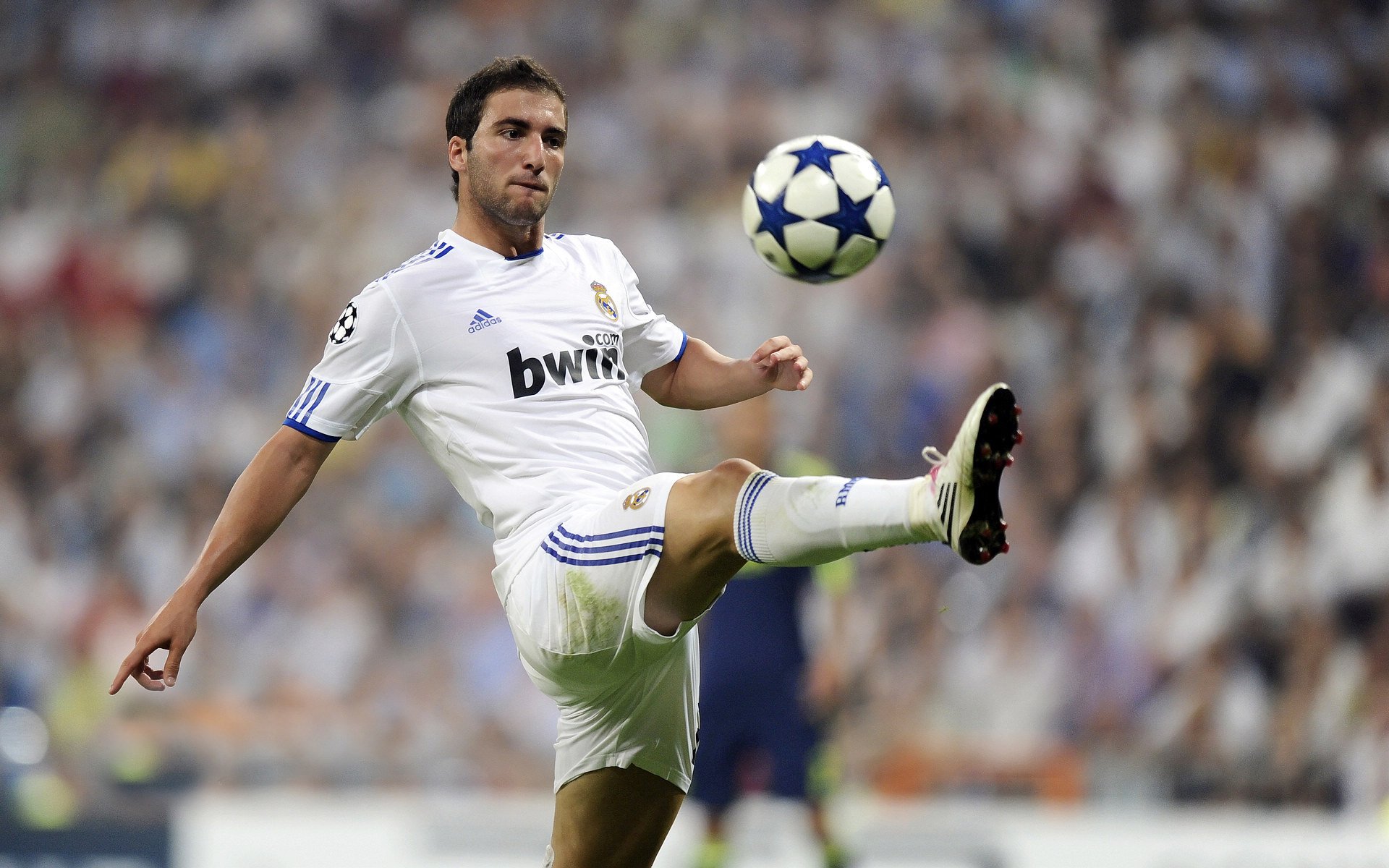 王者荣耀与英雄联盟手游赛事对比:移动电竞的未来在哪里?,王者荣耀vs英雄联盟手游